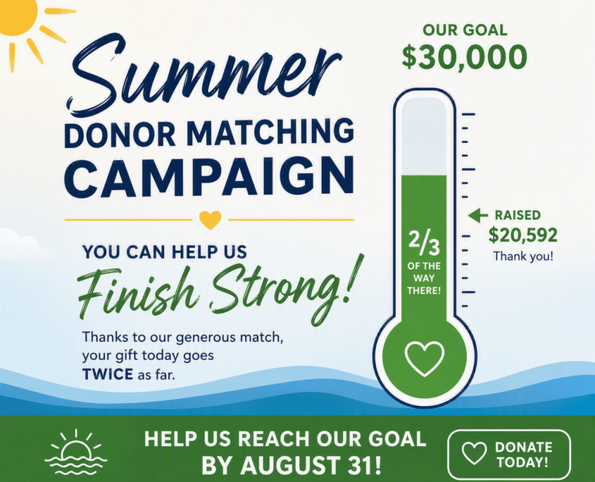 Summer Donor Matching 2